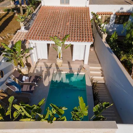 Villa Delle Palme Con Piscina Privata サンタ・マリア・デル・フォカッロ エクステリア 写真